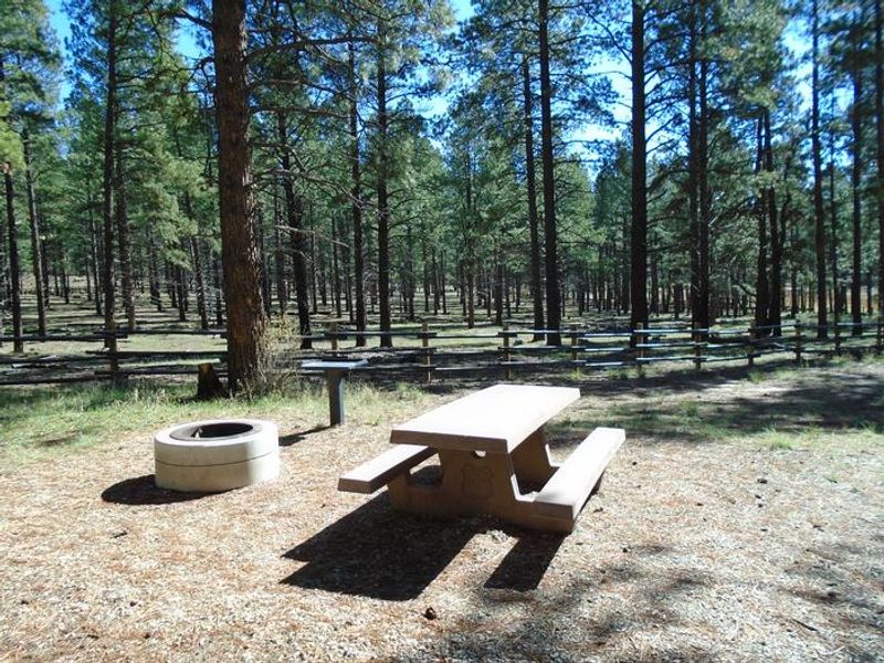 Typical Site in Pioneer Loop