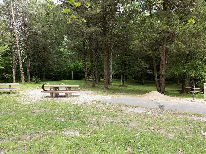 Large Equestrian/Group site with water and electric