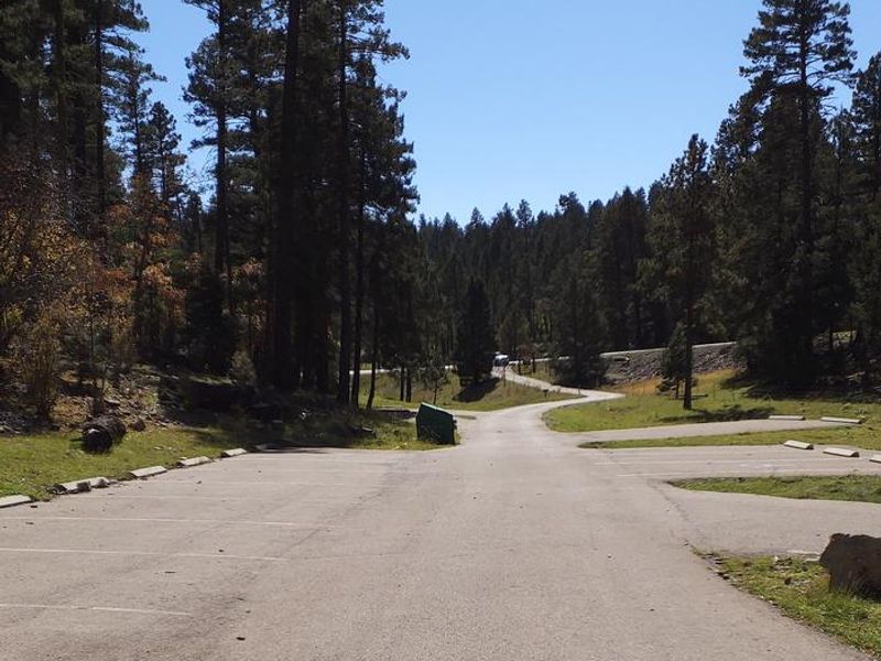 LOWER FIR Group Campground Paved Parking Spaces