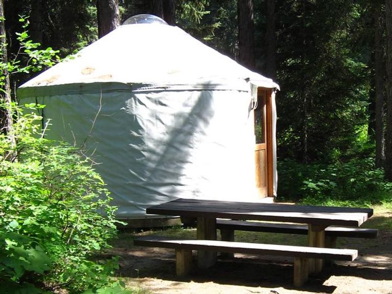 Whitetail Yurt