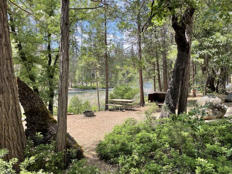 Wawona campsite along the river with bushes and trees framing the campsite.