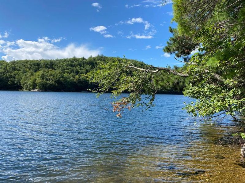 Silver Lake Campground