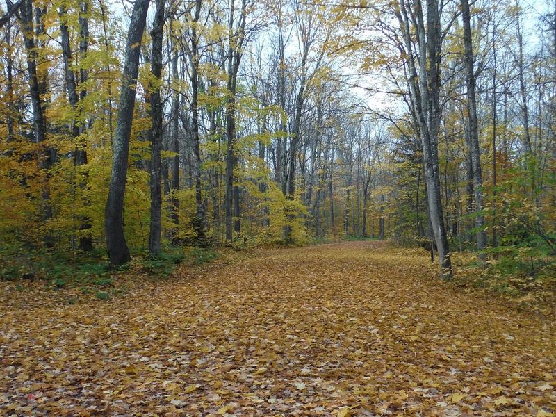 Main road system leading to AuTrain Lake Campsites