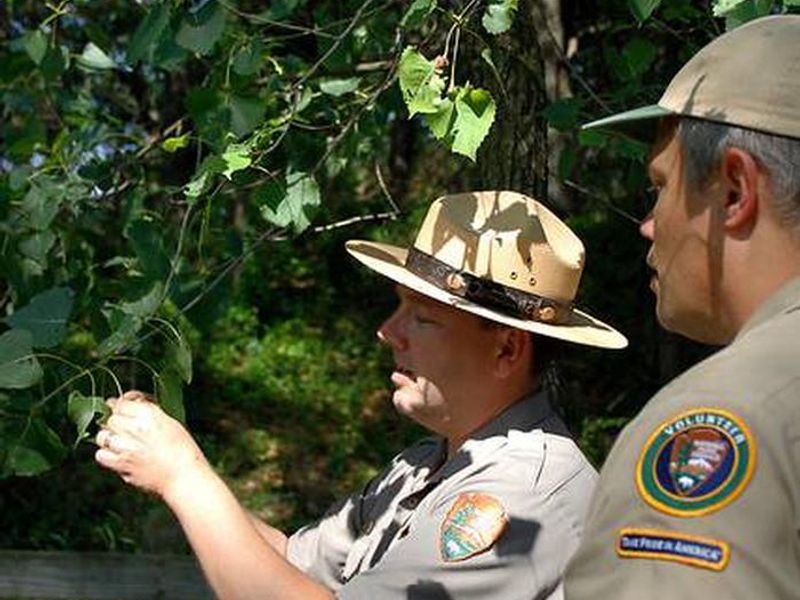 Park Ranger and Volunteer working in the park in Indiana Dunes National Park.