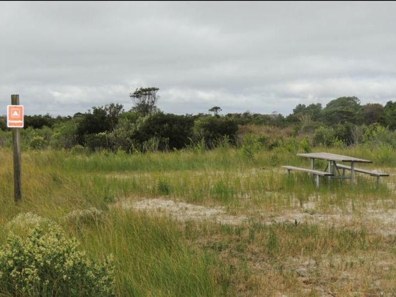State Line Grassy Campsite