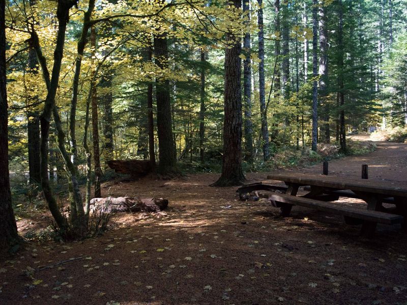 Lower Falls Campground in fall