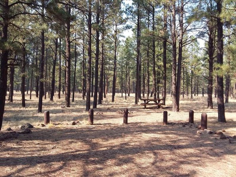 Benny Creek Group Site