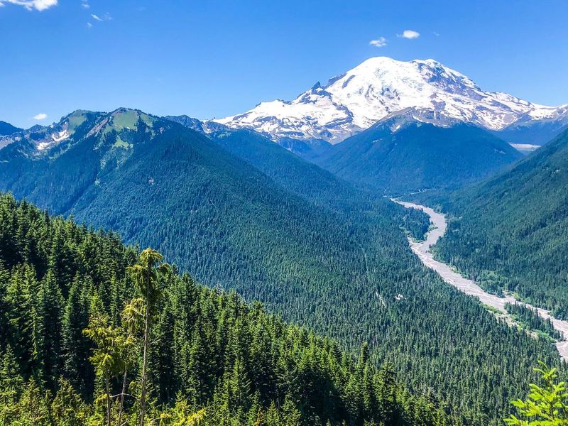 High above White River Campground, a wide, rocky river snakes down a deep valley with forested mountains on each side. Mount Rainier dominates the frame at the end of the White River Valley.