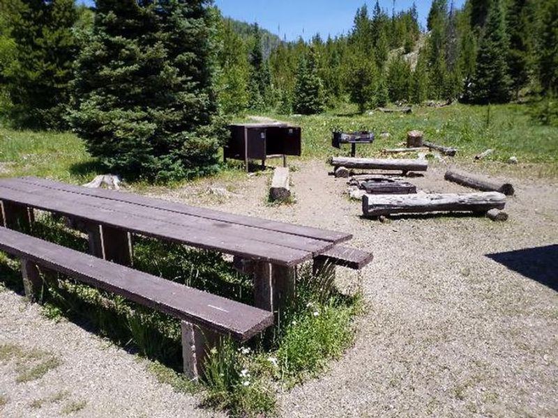 Seedhouse Group Site fire rign, picnic tables, bear box