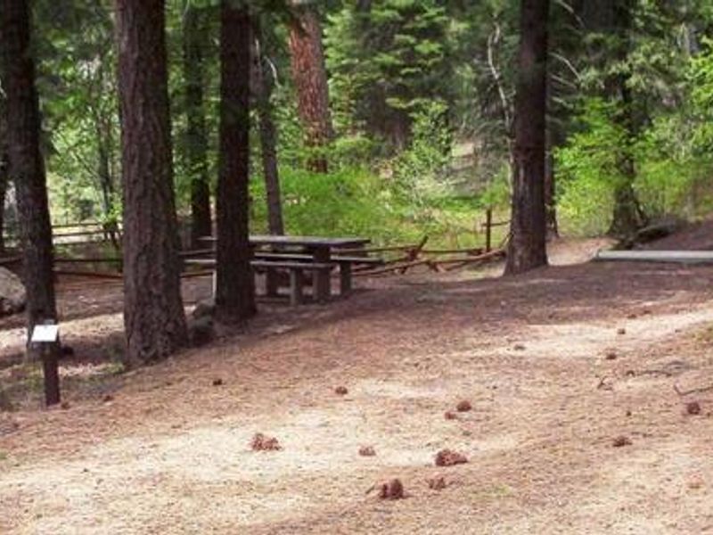 Campsite in Spring Creek Campground.
