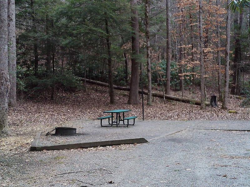 The beautiful site #16 is another with a long pull in drive making it able to fit a longer trailer.