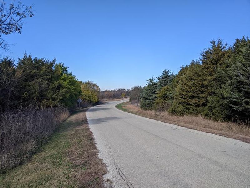 Curtis Creek - Road leading to Loop D