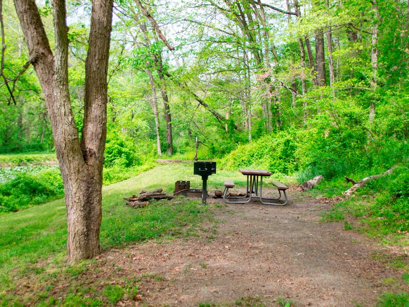 Potomac Forks Hiker-Biker Campsite