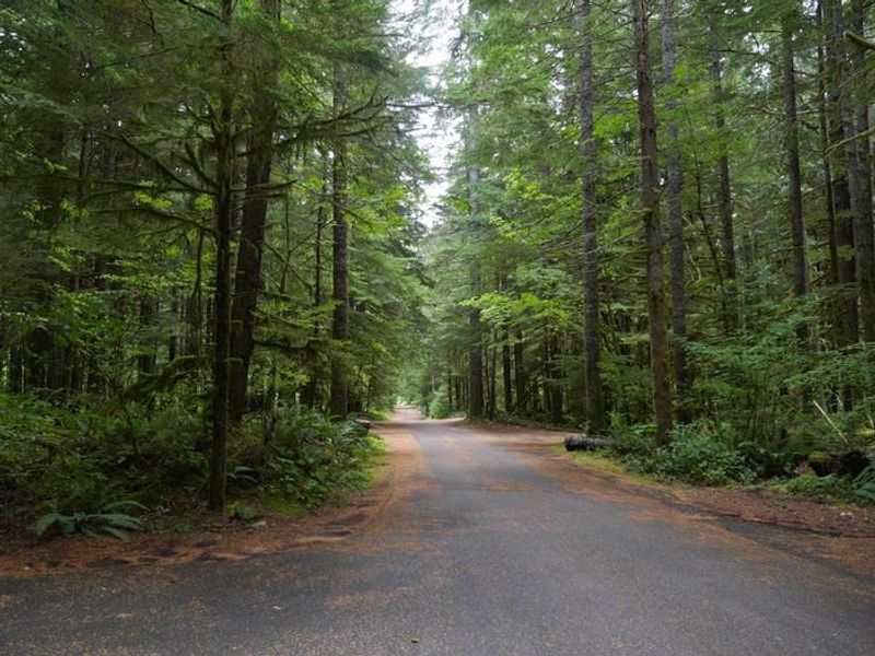 North Fork Campground