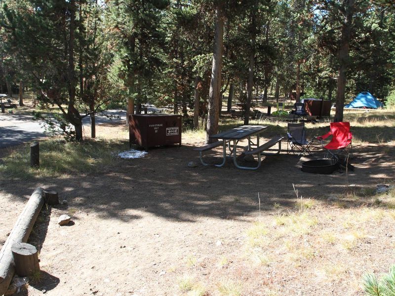 Indian Creek Campground site #37