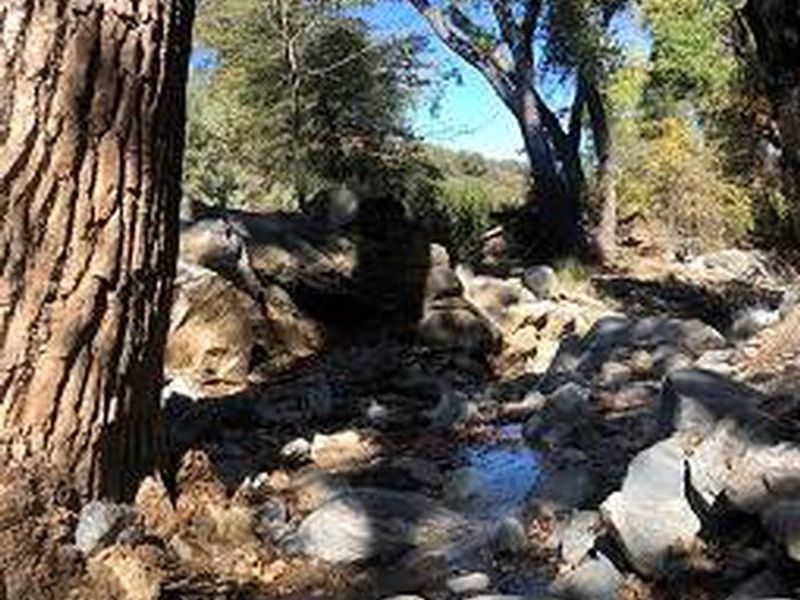 Creek is running from a more than average October rain. 