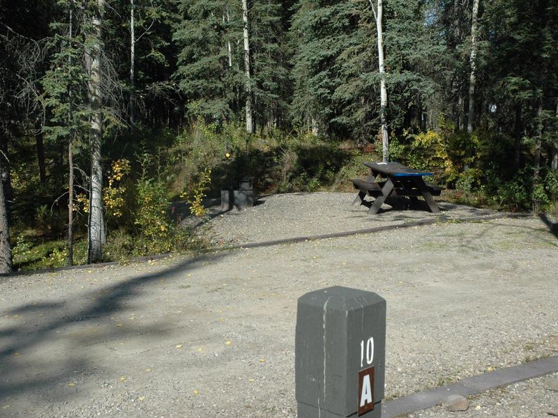 A typical site in Riley Creek Campground.