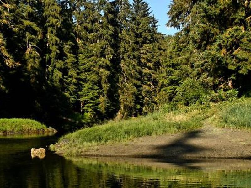 Karta River Cabin from the outlet of river.