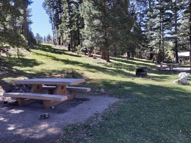 Shaded picnic area