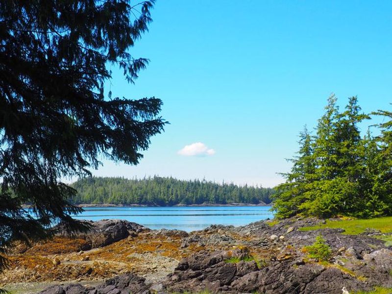 Scenery at Steamer Bay Cabin