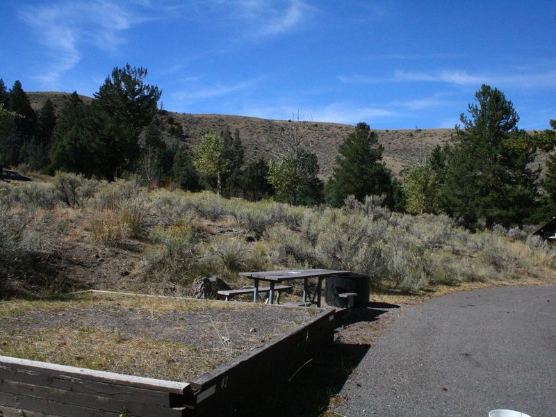 Mammoth Campsite #42