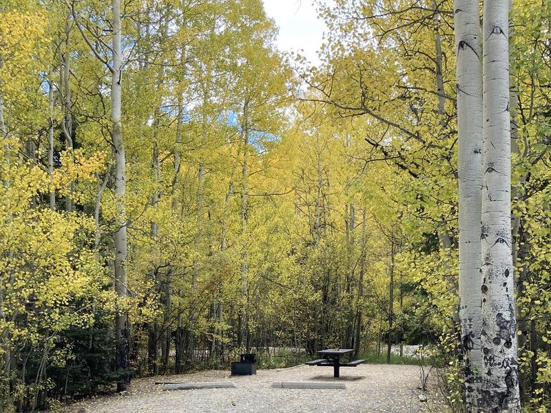 Fall foliage in Cascade Campground