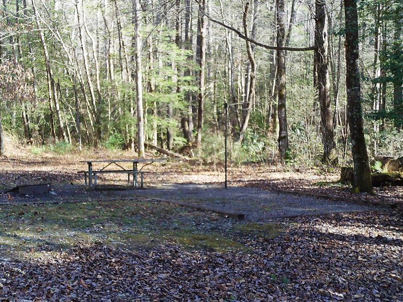 Site #5 another creek side space