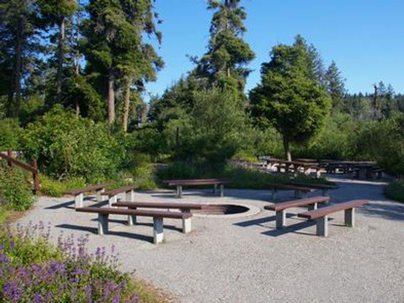 Shafer Butte Campground