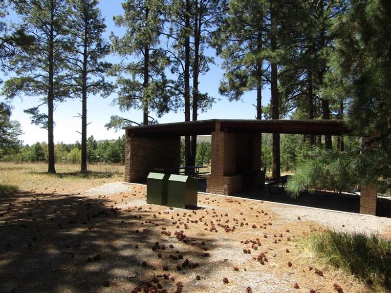 Campsites at Ponderosa Group Campground include covered cooking shelters with grills and picnic tables.