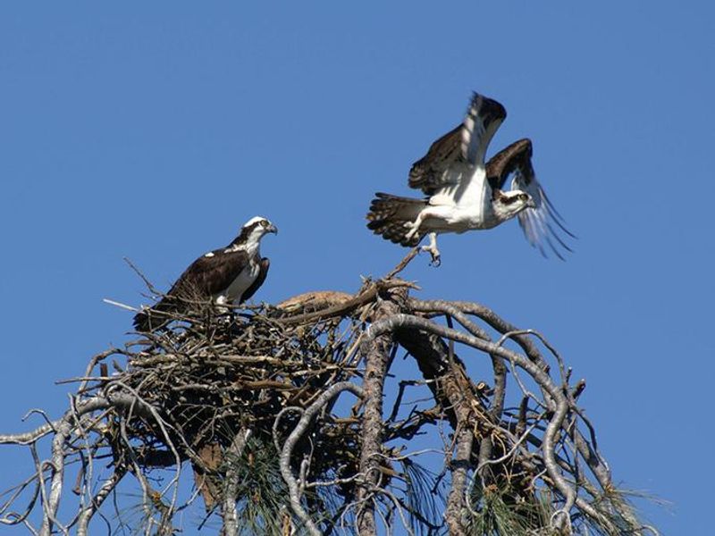 Glory Hole Recreation Area