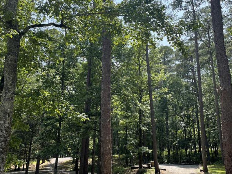 First Come First Serve sites 