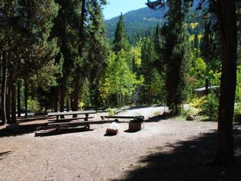 Campsite with picnic table and fire pit.