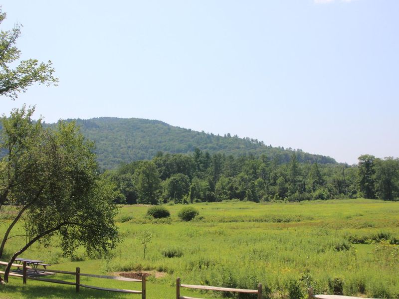 Townshend Lake Nature Area