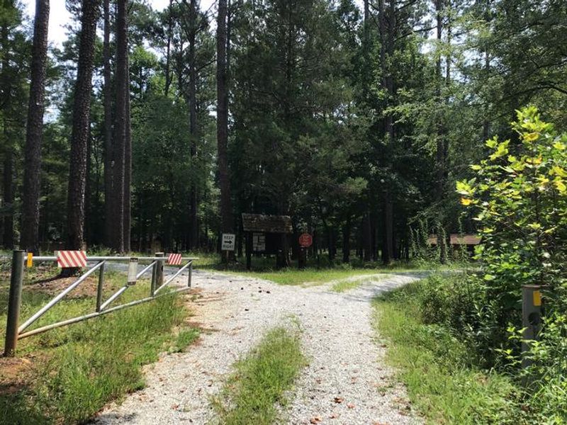 A photo of facility Collins Creek Seasonal Campground, SC entrance road leading into campground. 