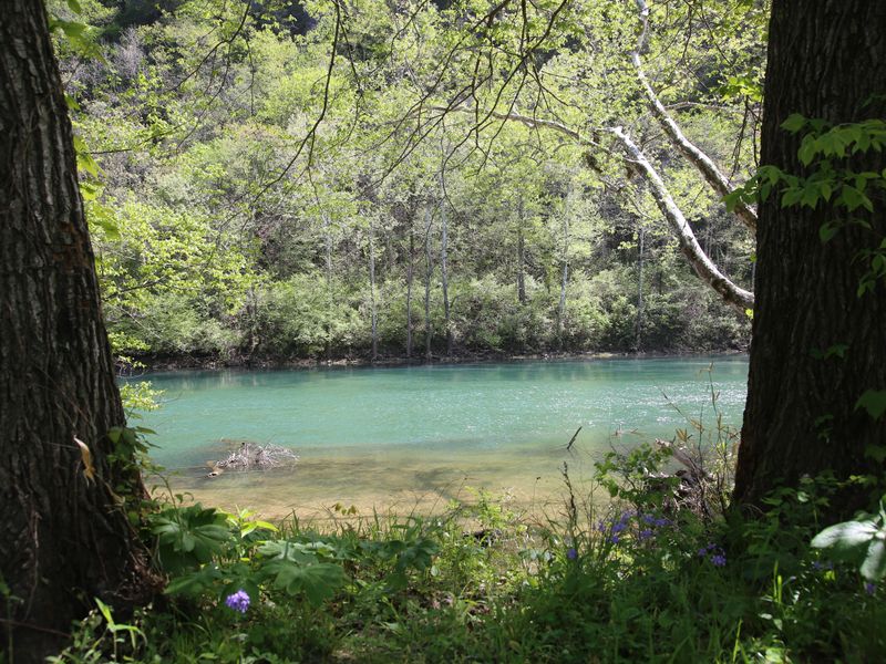 The Current River is the heart of Ozark National Scenic Riverways.
