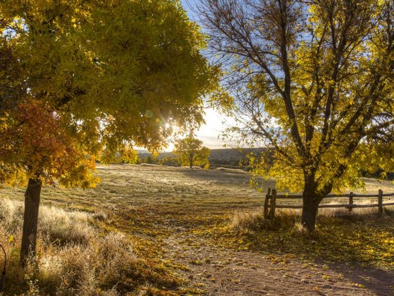 Foliage at Browns Park