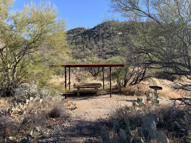 Individual picnic areas outside of the ramada.