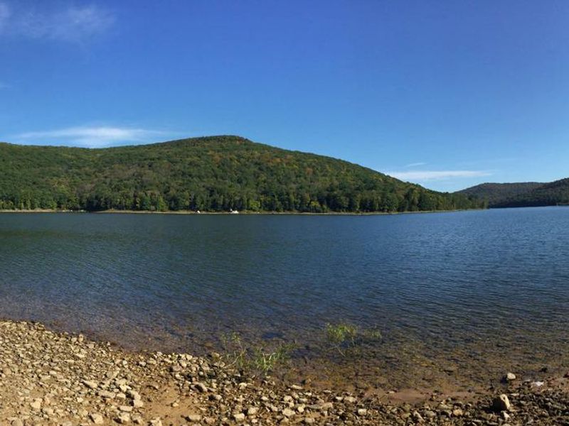 Dewdrop -Allegheny Reservior