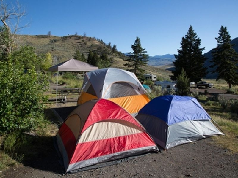 Tents pitched at the Mammoth Hot Springs Campground