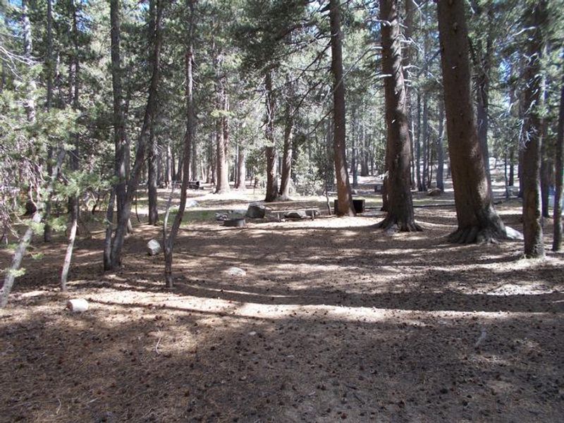 A19, Tuolumne Meadows 27ft RV Site