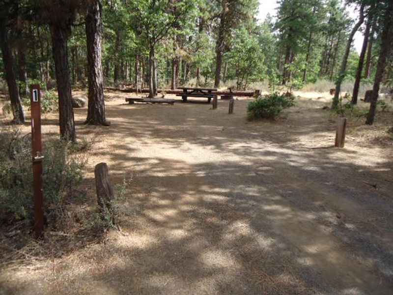 Rock Creek Mt Hood NF