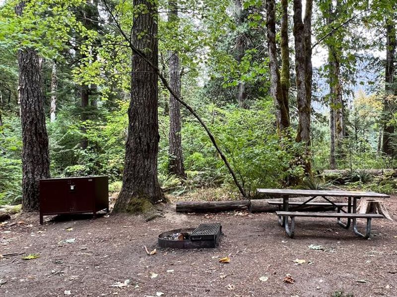 Campsite in Goodell Creek Campground