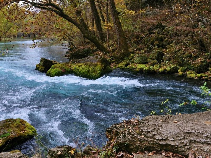 Big Spring flows along it's tree and moss-lined banks