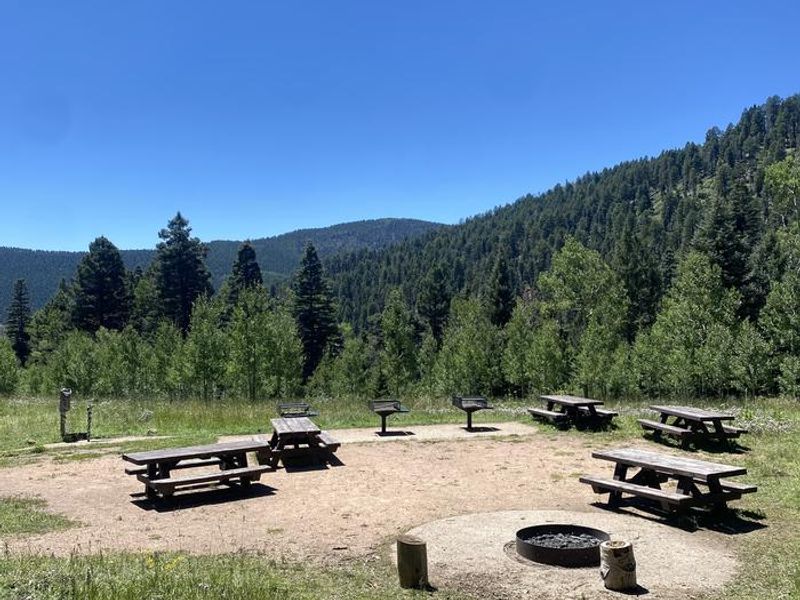 Site A with picnic tables, campfire ring, and grills. Trash Cans near vault toilets and private parking.