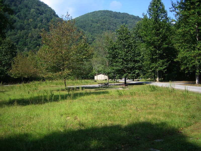 The campground at Army Camp offers 11 drive in sites around a grassy field on the banks of the New River.