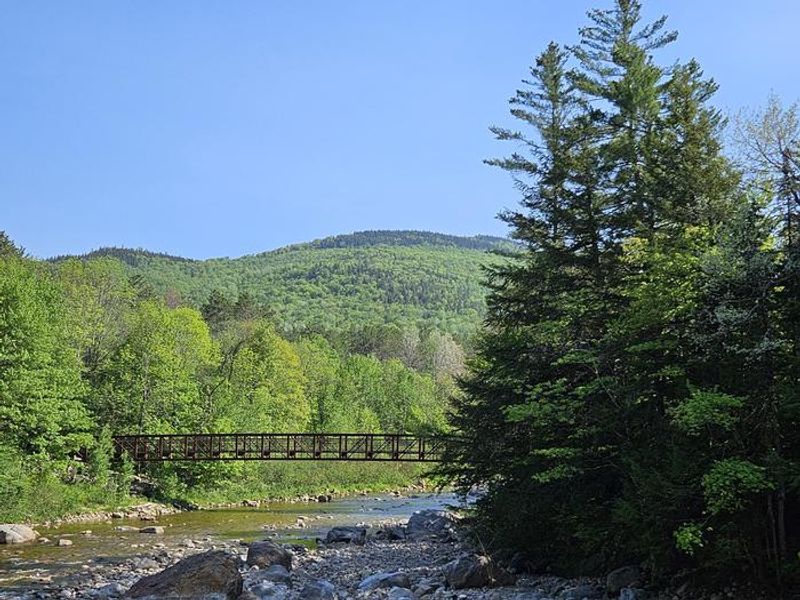Hiking trails by Hancock Campground