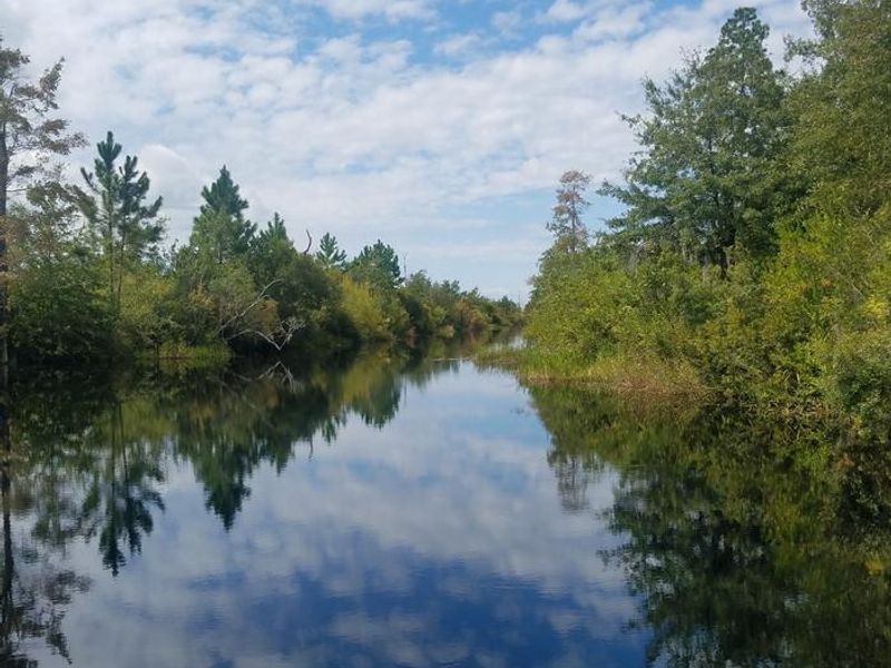 A photo of facility Okefenokee National Wildlife Refuge Overnight Camping Permit with No Amenities Shown