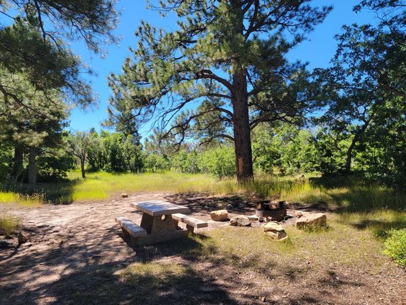 Campsite at Price Canyon Recreation Area