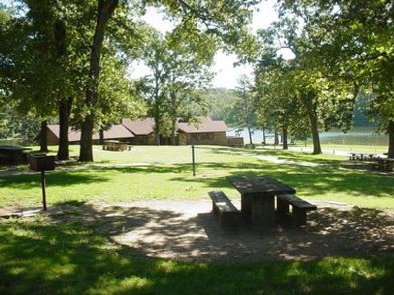 Summertime Picnic area