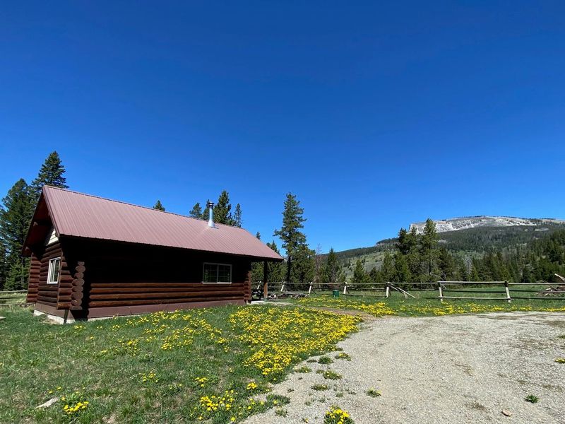 Summertime at Crandall Cabin